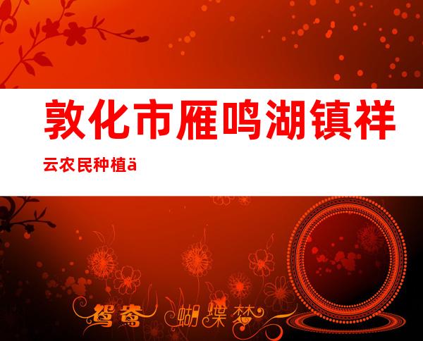 敦化市雁鸣湖镇祥云农民种植专业合作社